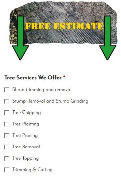 Local landscape design for outdoor upgrades in Temple Terrace, FL by Riverview Tree Service
