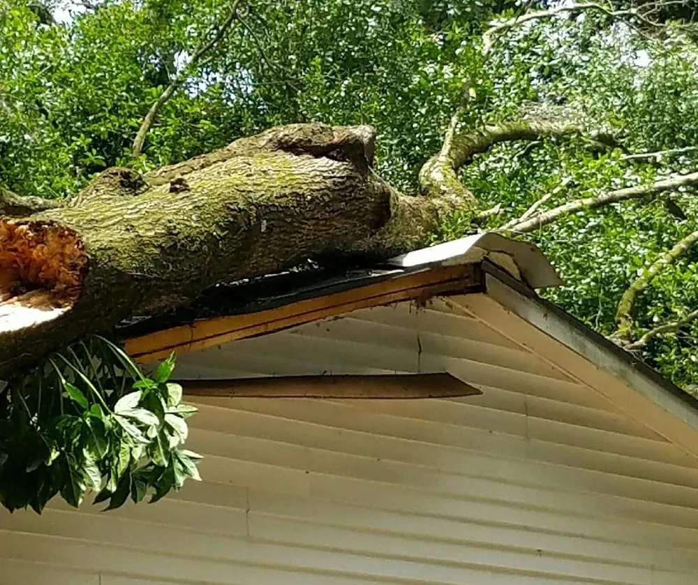 Expert garden landscaping in Temple Terrace, FL - Riverview Tree Service