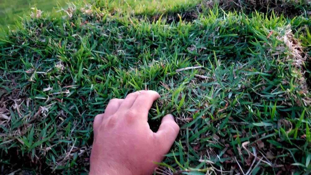 Reliable landscape design in Van Buren, AR - Riverview Turfworks