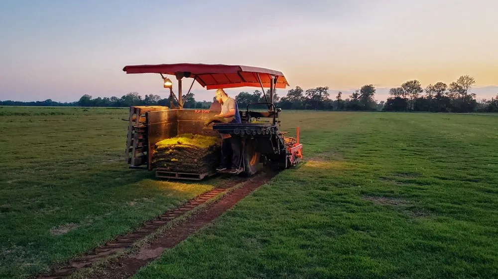 Local lawn care service in Van Buren, AR - Riverview Turfworks