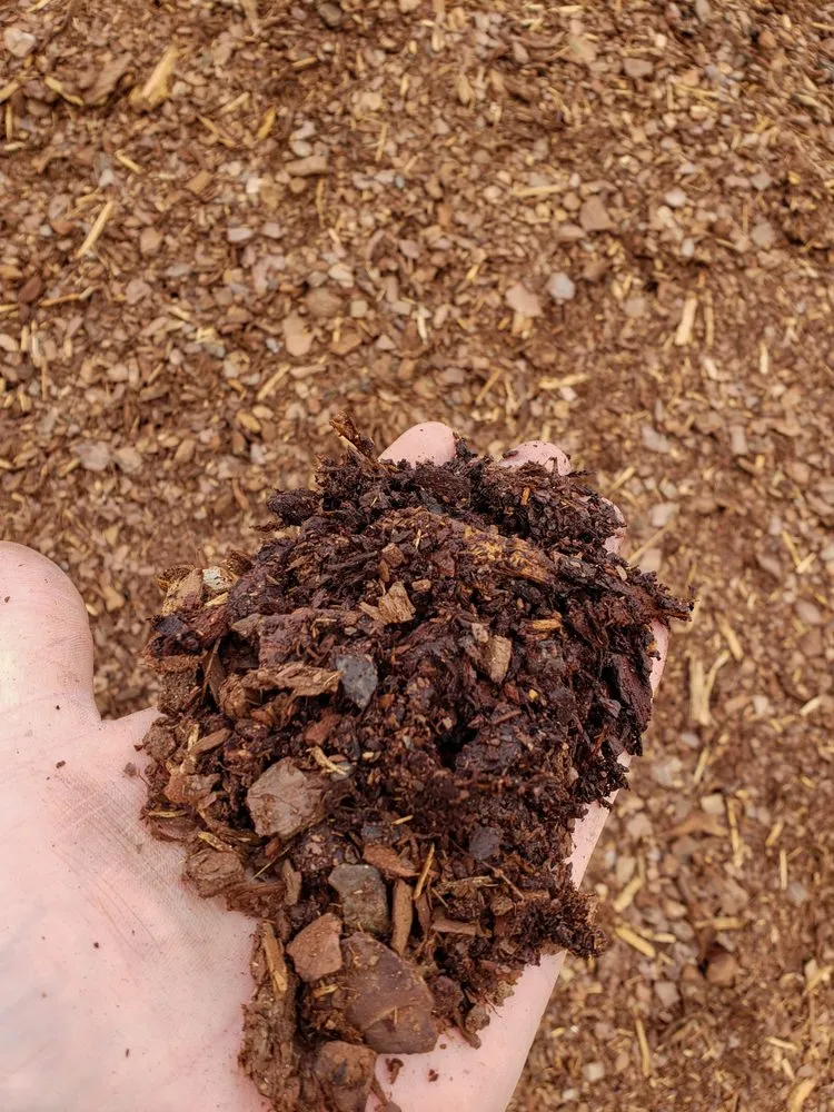 Professional residential landscaping in Van Buren, AR by Riverview Turfworks