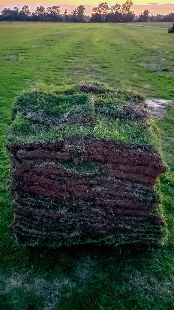 Affordable landscape installation for year-round maintenance in Van Buren, AR by Riverview Turfworks