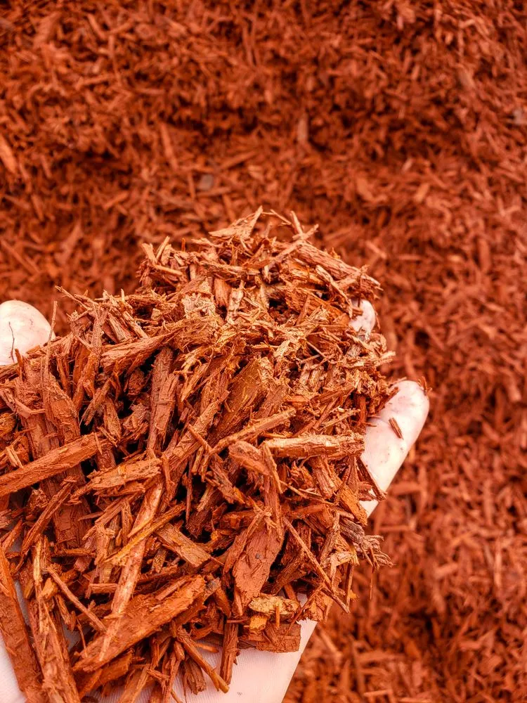 Top-rated residential landscaping in Van Buren, AR by Riverview Turfworks