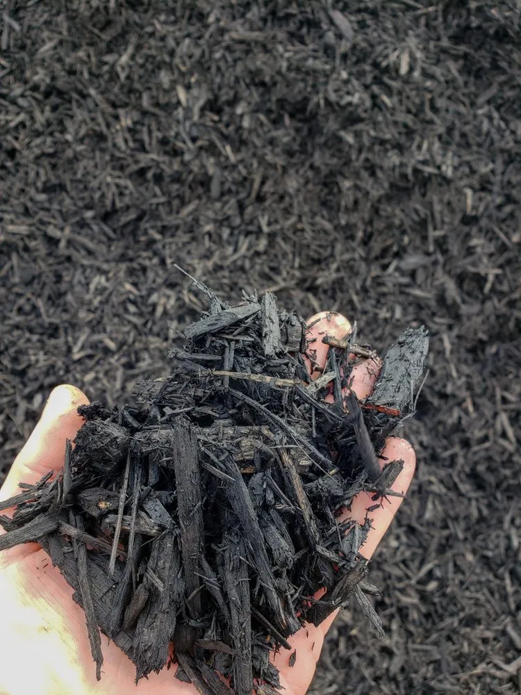 Affordable lawn care service experts serving Van Buren, AR - Riverview Turfworks