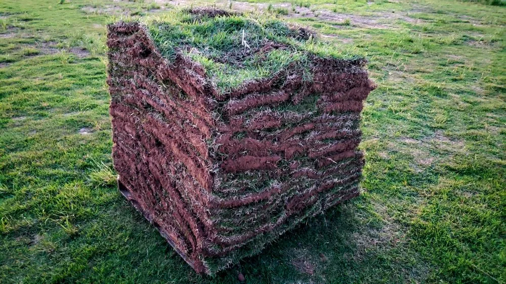 Reliable lawn mowing service in Van Buren, AR - Riverview Turfworks