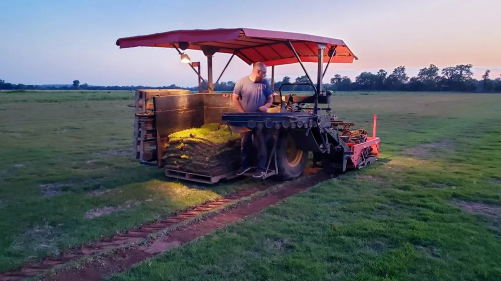 Local yard cleanup service in Van Buren, AR - Riverview Turfworks