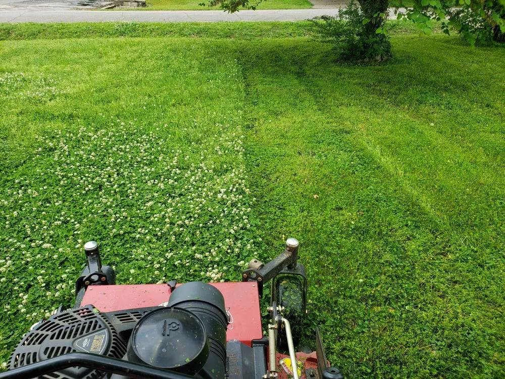 Top-rated yard cleanup service with custom design across Van Buren, AR - Riverview Turfworks