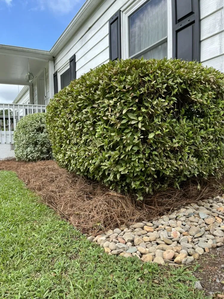 Affordable landscape installation in Rock Hill, SC - Riverwalk Landscaping