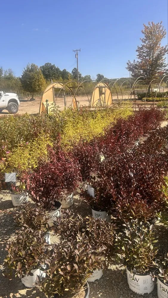 Affordable landscape design in Fenton, MI by Riverway Outdoor Solutions