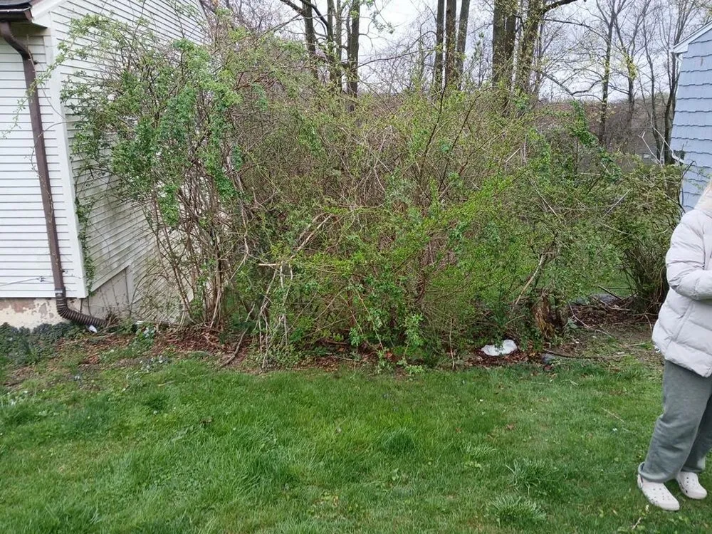 Custom landscaping services in Cheshire, CT by Riverwood Groundskeeping