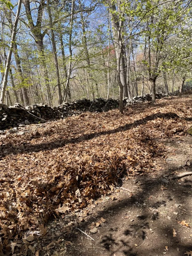 Affordable landscaping services for homes across Cheshire, CT - Riverwood Groundskeeping