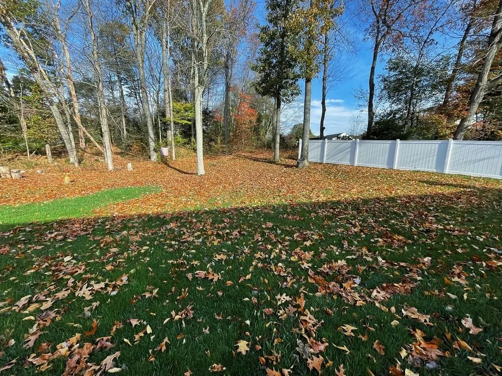 Professional yard cleanup service for outdoor upgrades in Cheshire, CT by Riverwood Groundskeeping