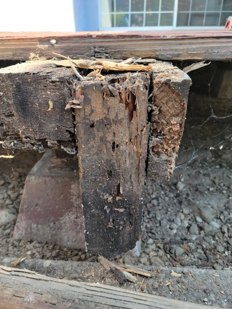 Custom landscape installation in West Menlo Park, CA by Riverz Pro Green Landscaping