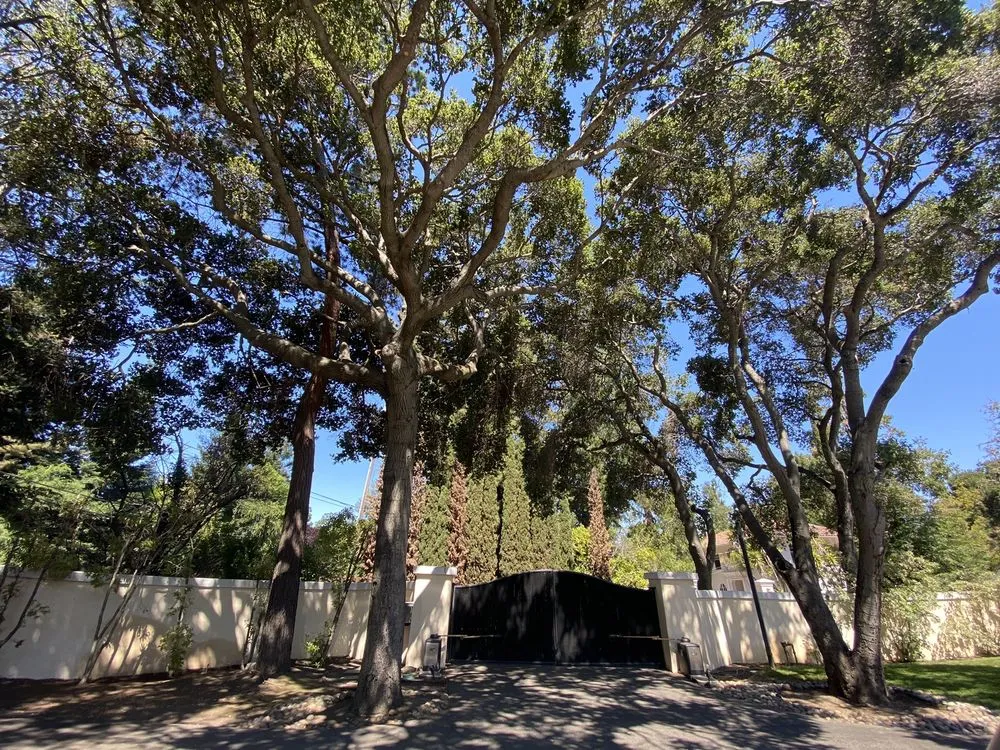 Top-rated landscape design in West Menlo Park, CA - Riverz Pro Green Landscaping