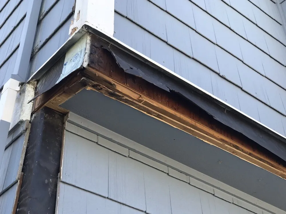 Expert yard cleanup service experts serving West Menlo Park, CA - Riverz Pro Green Landscaping