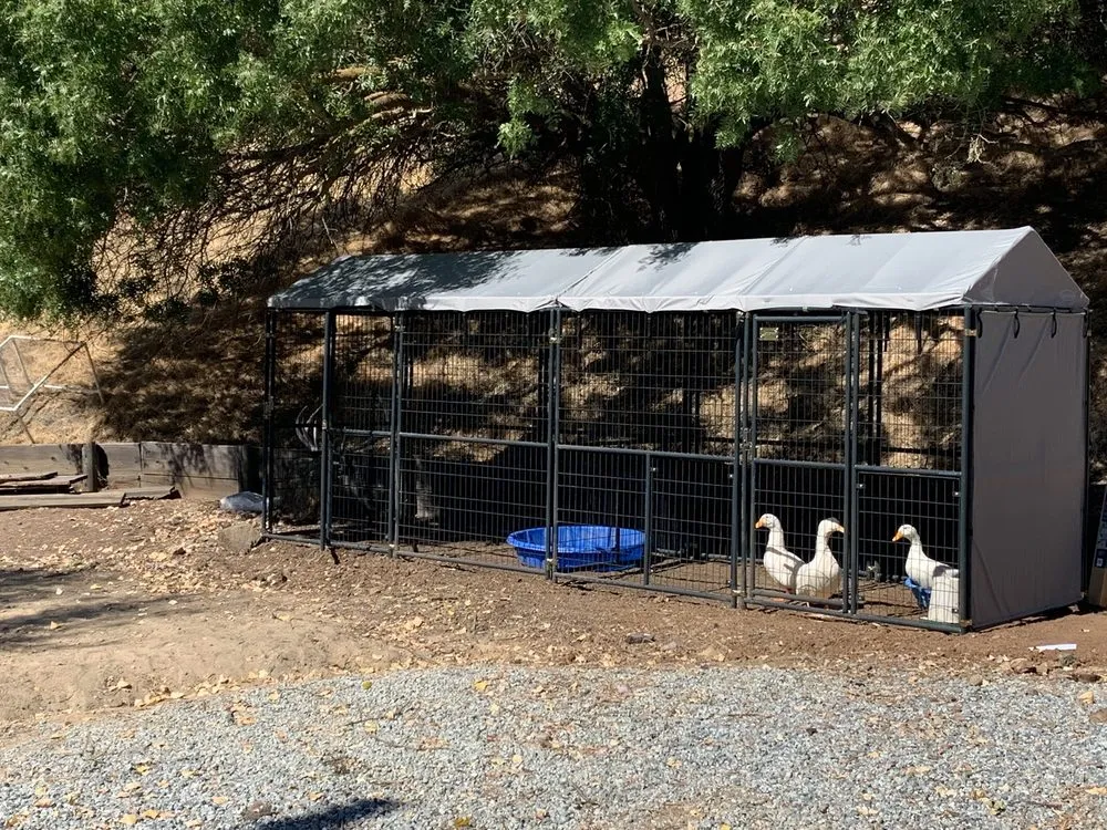 Professional garden landscaping for residential properties in West Menlo Park, CA by Riverz Pro Green Landscaping