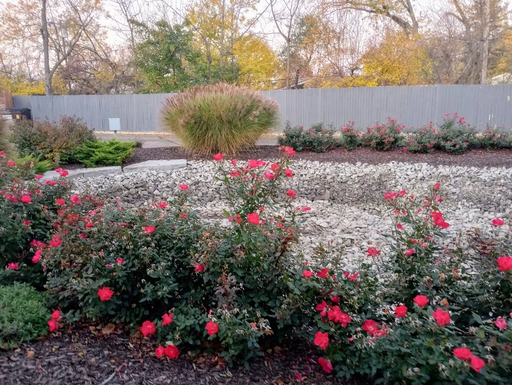 Top-rated lawn mowing service for year-round maintenance across Adrian, MI - Riviera