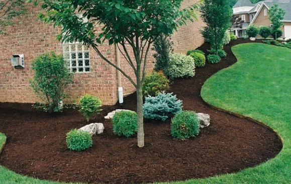 Trusted landscaping services for year-round maintenance across Adrian, MI - Riviera