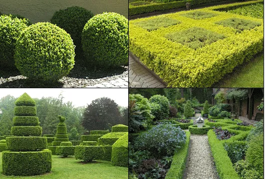 Local yard cleanup service in Adrian, MI - Riviera