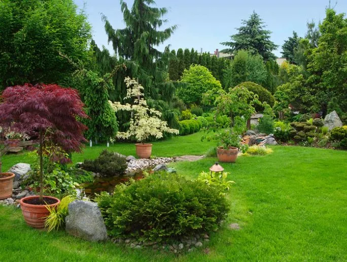 Top-rated landscape design for beautiful yards across Adrian, MI - Riviera