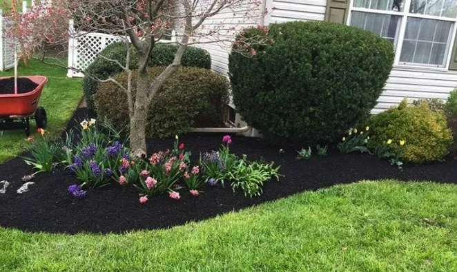 Expert landscape installation in Adrian, MI - Riviera