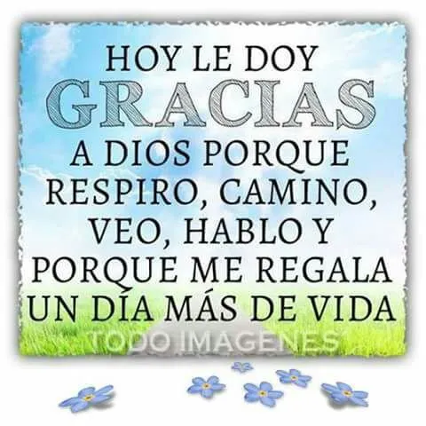 Affordable lawn mowing service for residential properties across Azusa, CA - Rizo's Landscaping