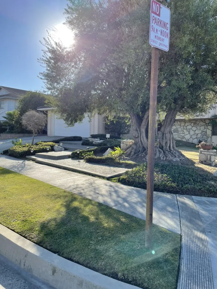 Local outdoor landscaping in Azusa, CA - Rizo's Landscaping