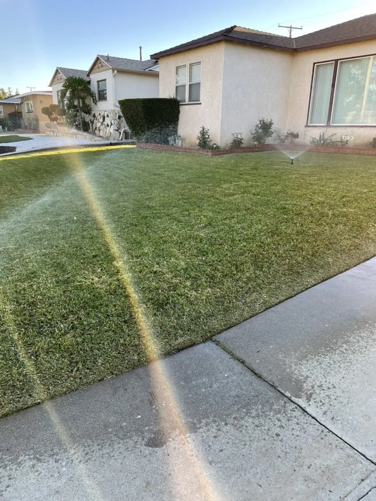 Custom outdoor landscaping for year-round maintenance across Azusa, CA - Rizo's Landscaping