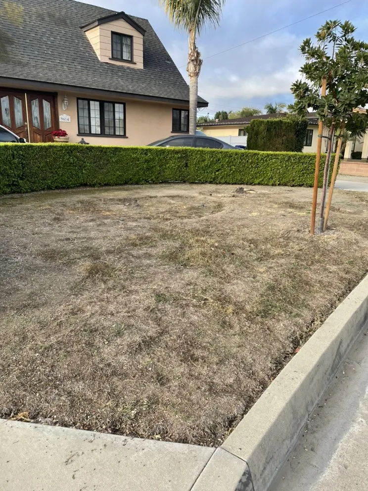Affordable garden landscaping for beautiful yards in Azusa, CA by Rizo's Landscaping