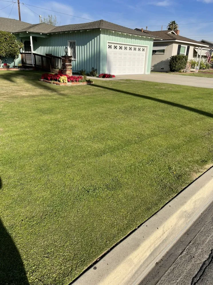 Top-rated landscape design experts serving Azusa, CA - Rizo's Landscaping