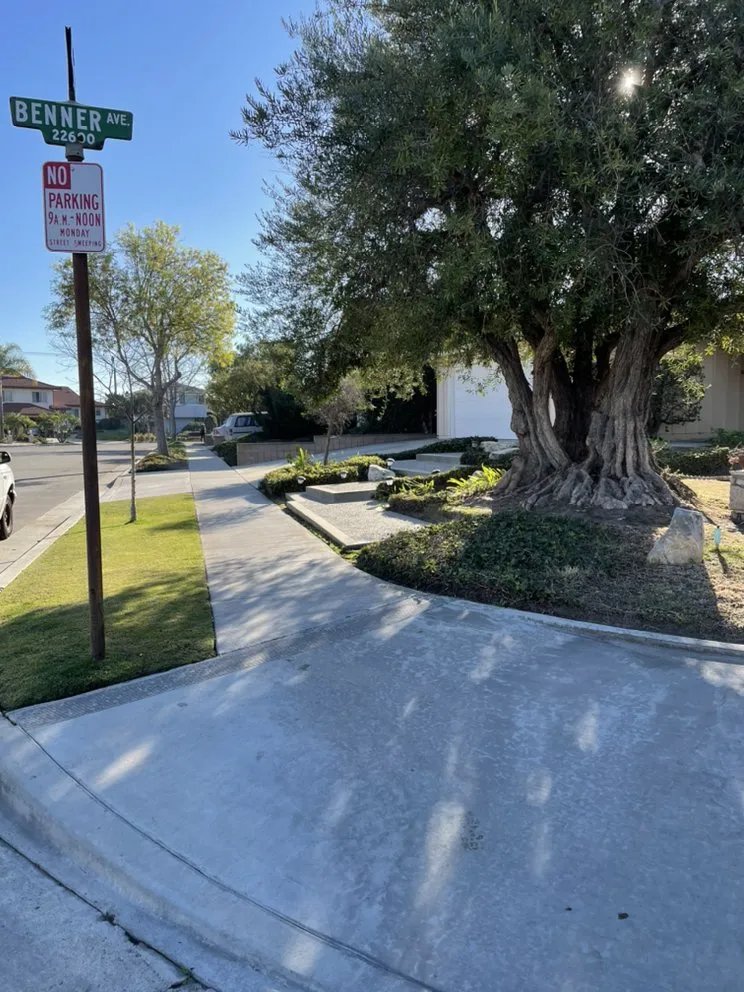 Expert yard maintenance with custom design across Azusa, CA - Rizo's Landscaping