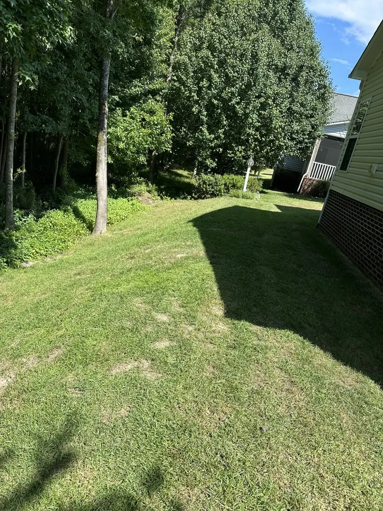 Expert lawn care service for residential properties in Jacksonville, NC by RJ Dreamscape Designs