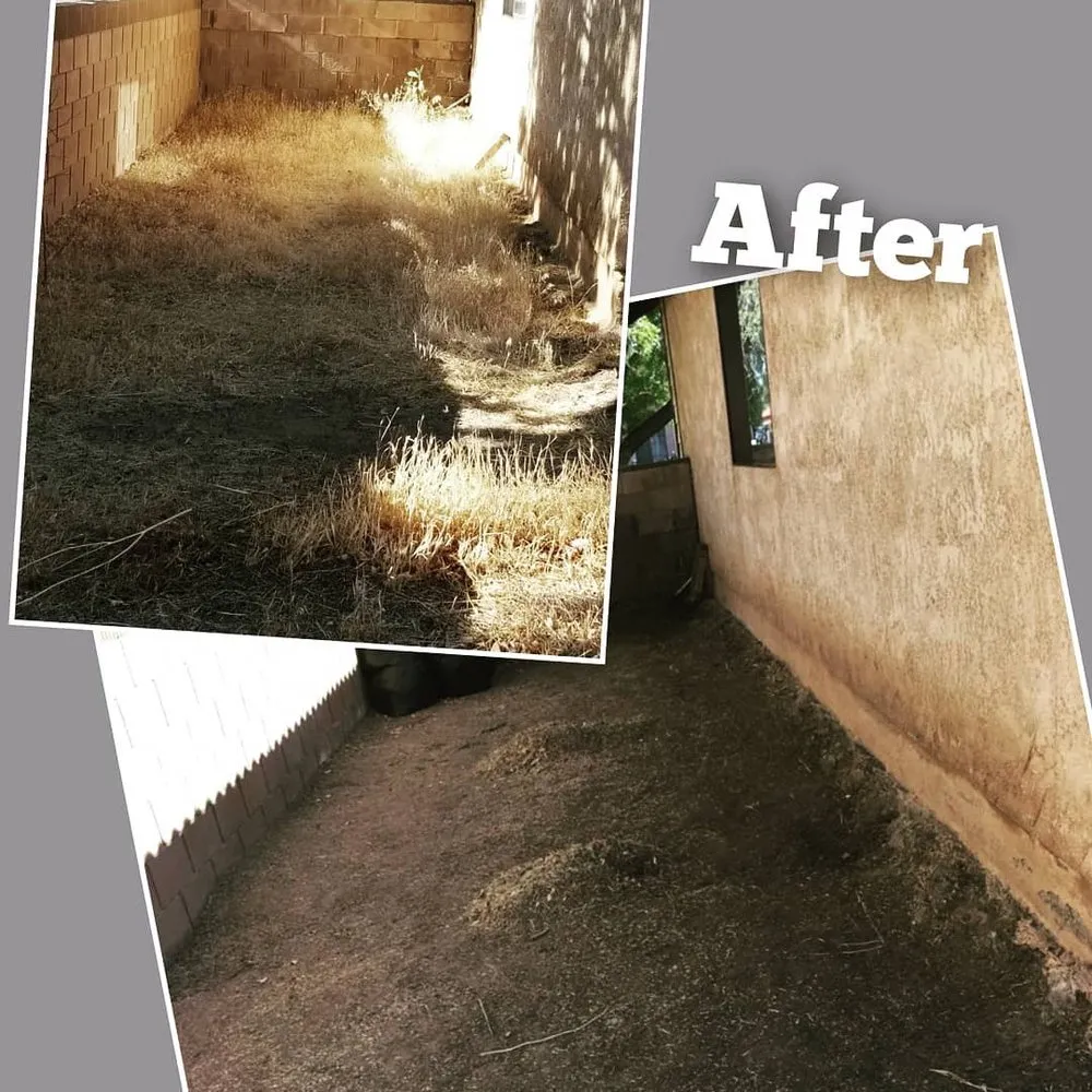 Trusted lawn care service in Moses Lake, WA - R&J Evergreen Landscape