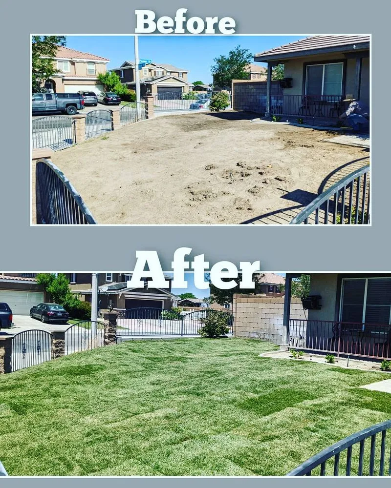 Expert outdoor landscaping near you across Moses Lake, WA - R&J Evergreen Landscape