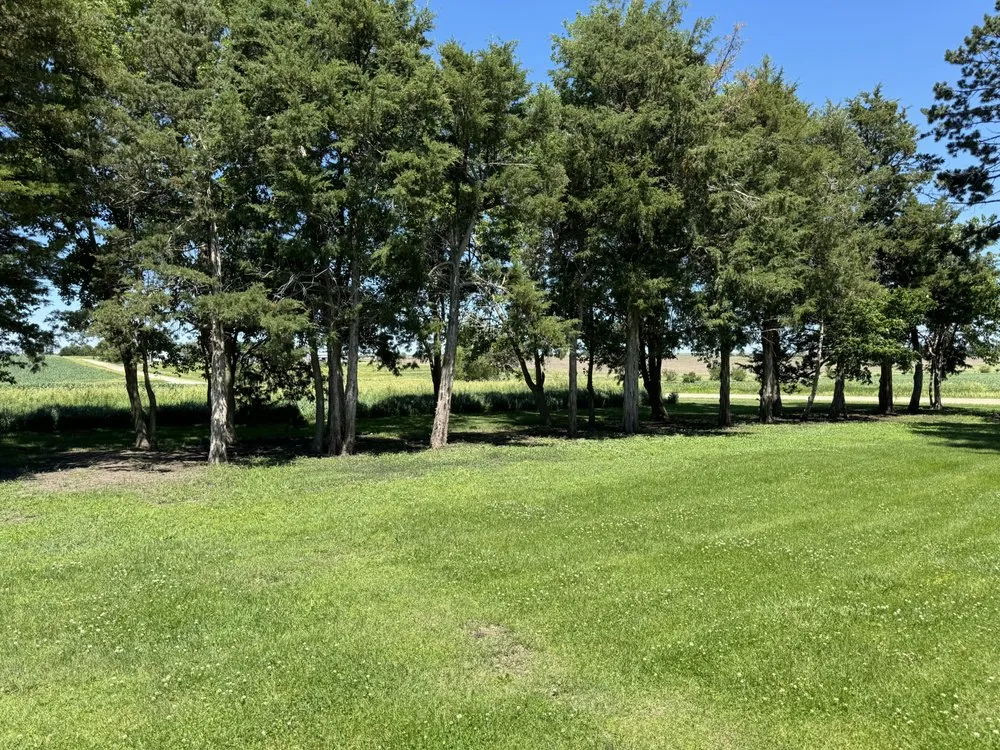 Reliable lawn care service in Powhattan, KS by R&J Handyman Service