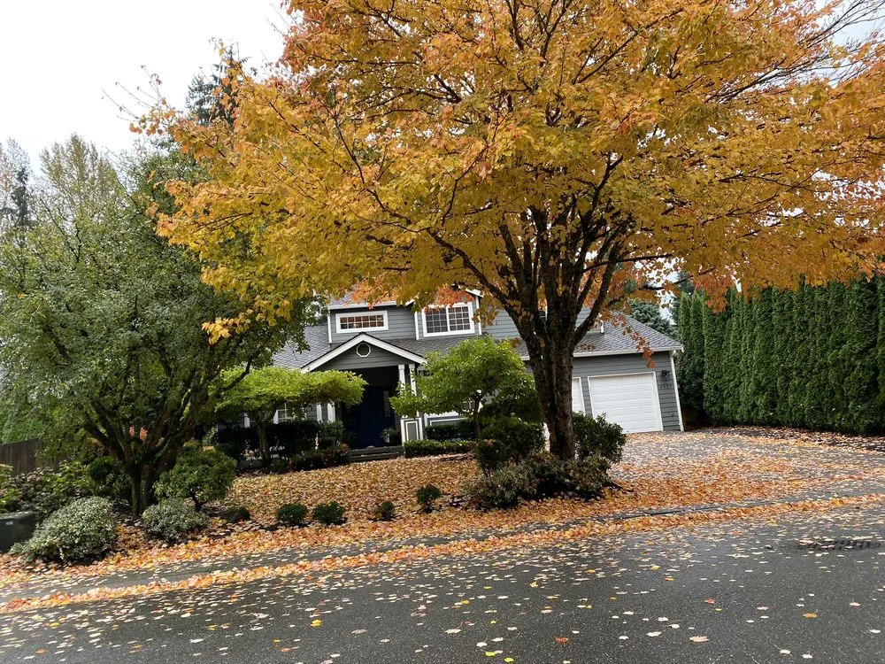 Local landscaping services in Woodinville, WA - R&J hardscape and maintenance