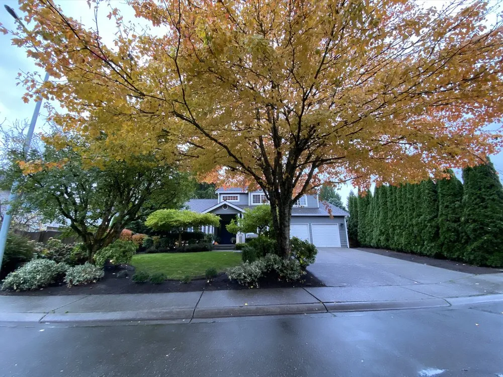 Top-rated outdoor landscaping for beautiful yards in Woodinville, WA by R&J hardscape and maintenance