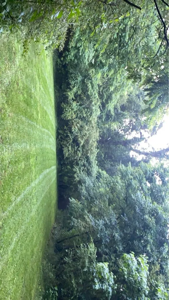 Affordable lawn care service in Fredericksburg, VA - R&J Improvements