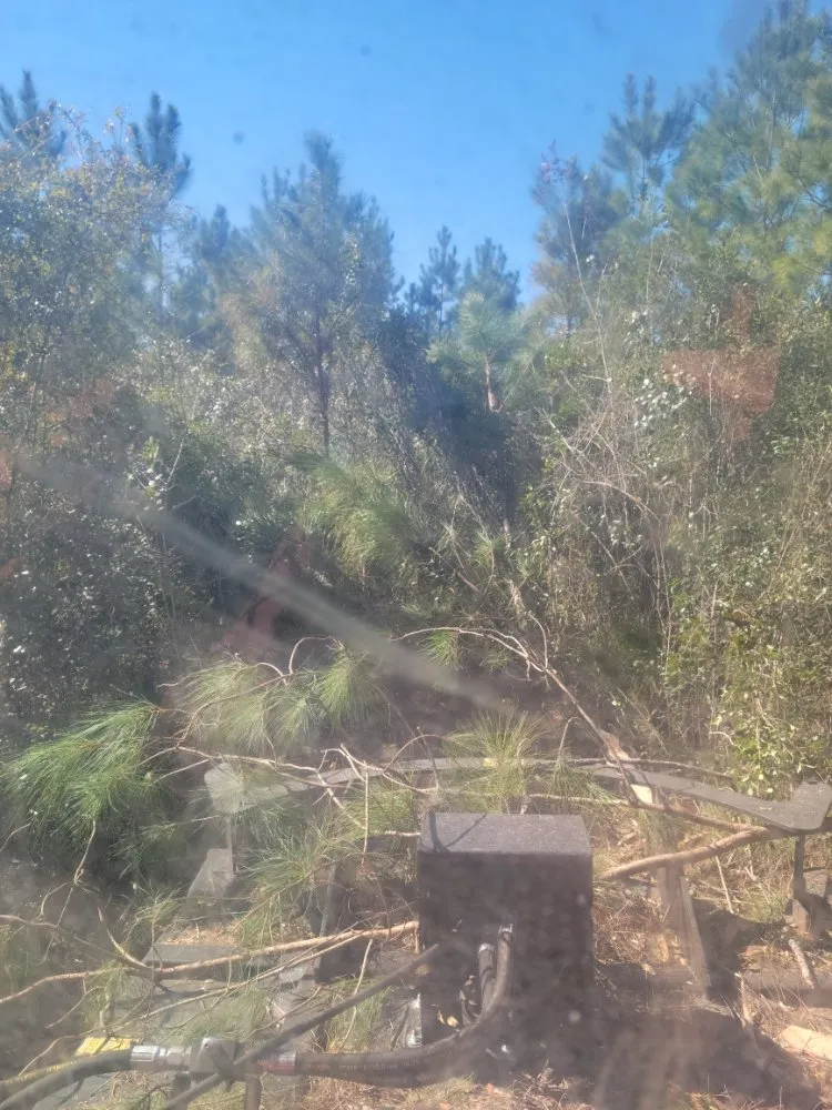 Expert yard maintenance in Macclenny, FL by R&J land Services