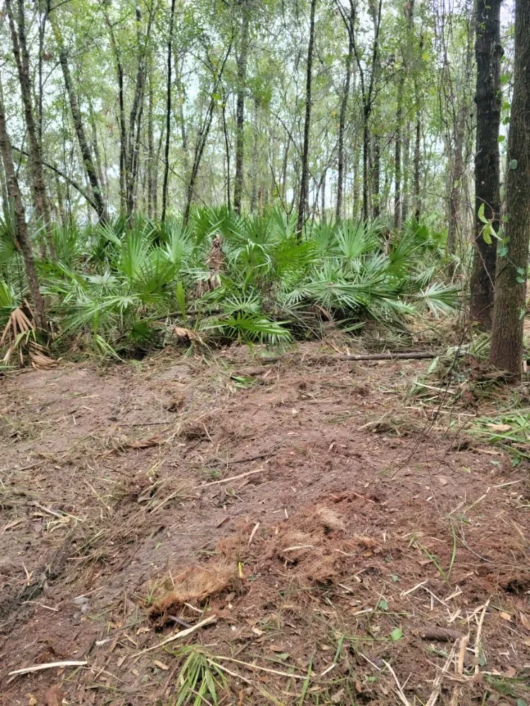 Custom lawn mowing service for homes across Macclenny, FL - R&J land Services