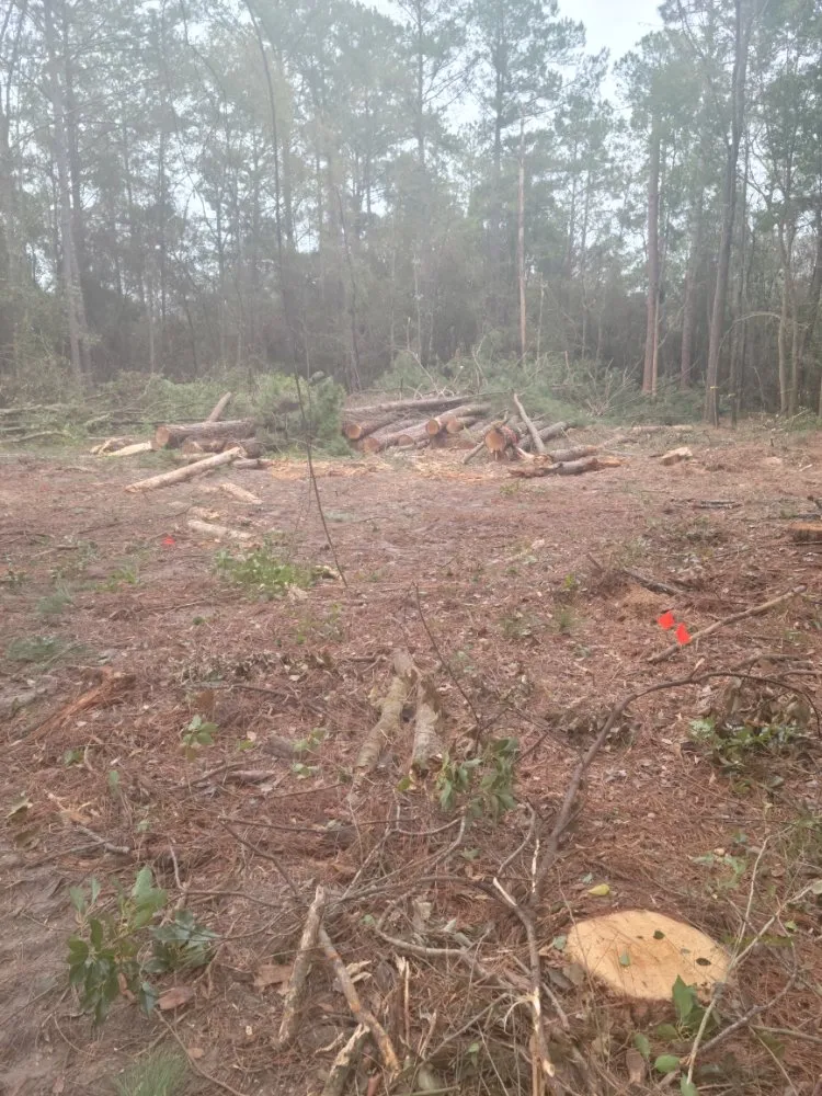 Expert garden landscaping in Macclenny, FL - R&J land Services