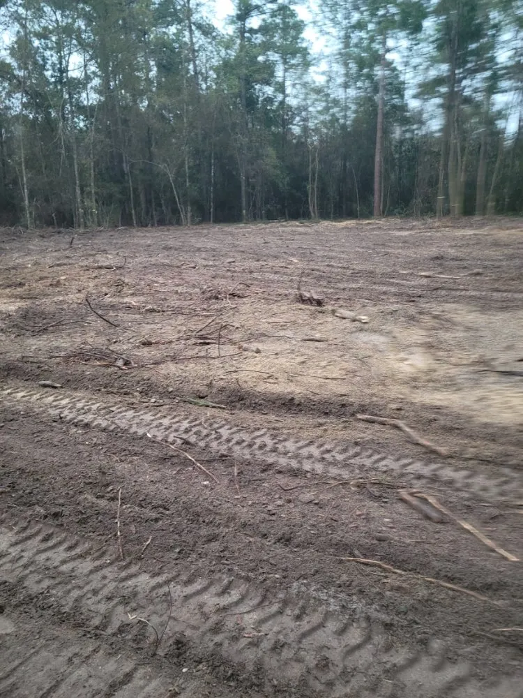 Expert garden landscaping with custom design across Macclenny, FL - R&J land Services