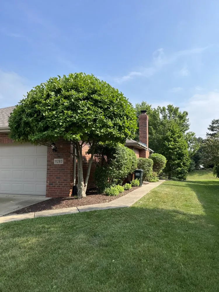 Reliable outdoor landscaping for beautiful yards in Frankfort, IL by RJ Landscape & Lawn Maintenance