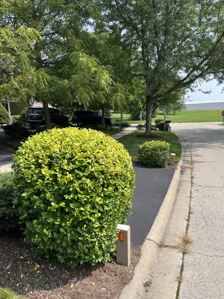 Trusted landscape design near you across Frankfort, IL - RJ Landscape & Lawn Maintenance