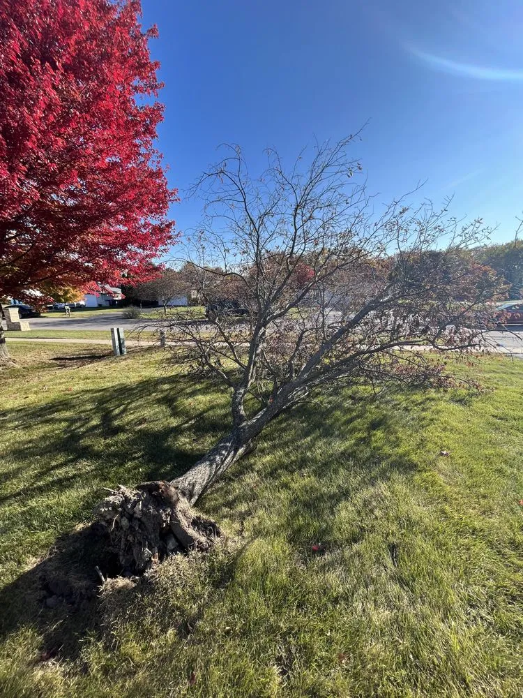 Professional lawn care service experts serving Frankfort, IL - RJ Landscape & Lawn Maintenance