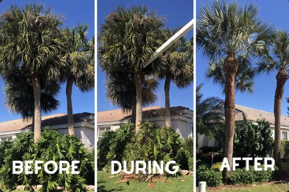 Top-rated landscape installation in DeFuniak Springs, FL - R&J Landscape