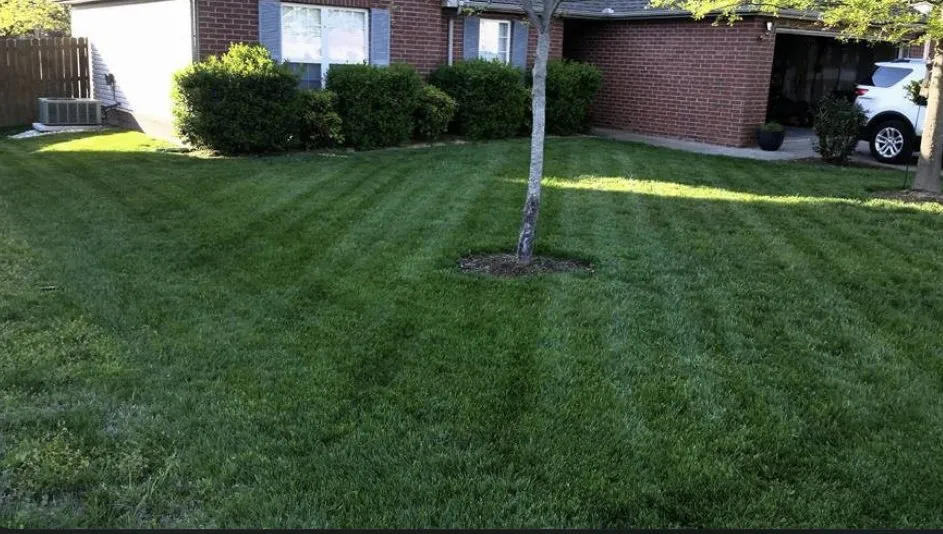 Top-rated yard cleanup service experts serving DeFuniak Springs, FL - R&J Landscape