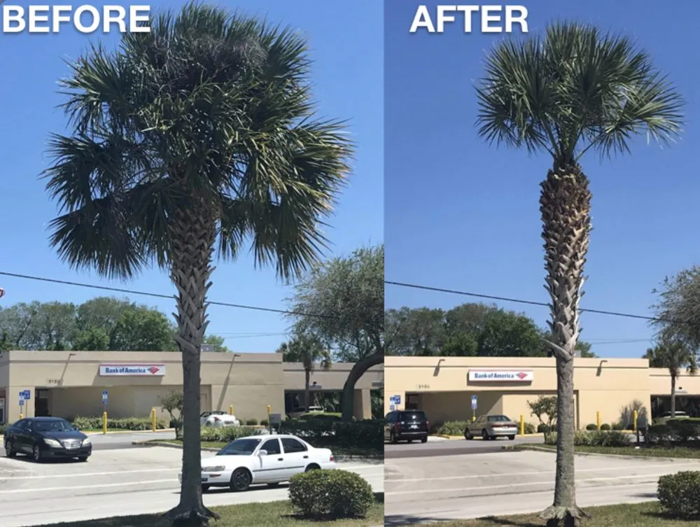 Local outdoor landscaping in DeFuniak Springs, FL by R&J Landscape