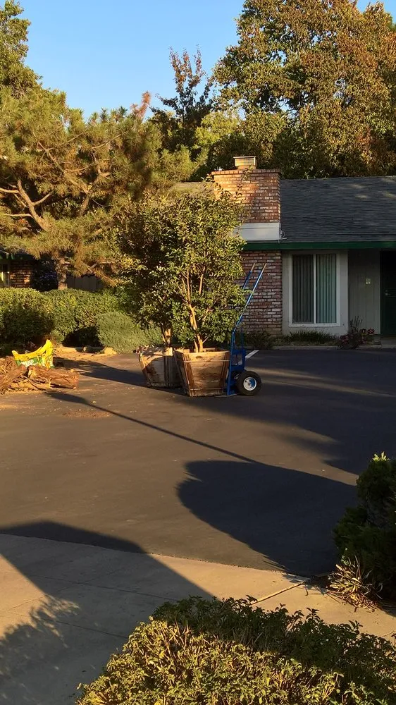 Custom yard maintenance in Fresno, CA by RJ Landscape Service