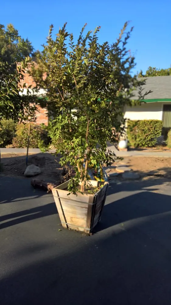 Professional landscape installation in Fresno, CA by RJ Landscape Service